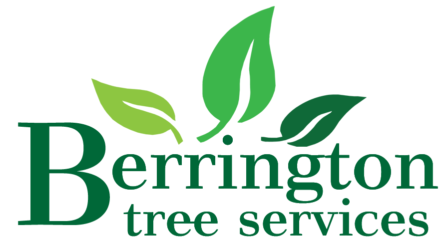 Berrington Tree Services